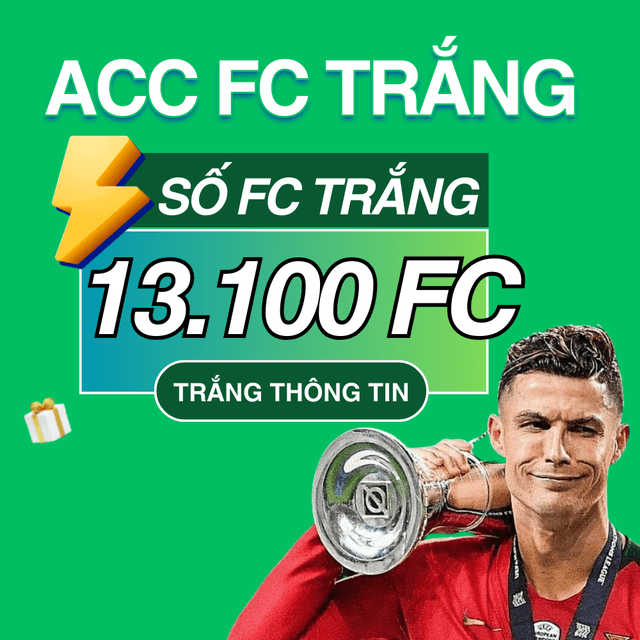 13.100 FC