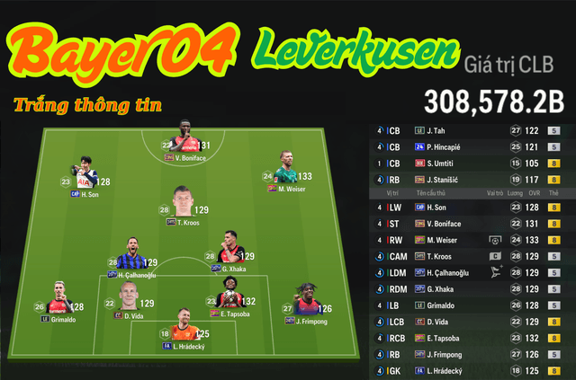 Bayer 04 Leverkusen 308K TỶ